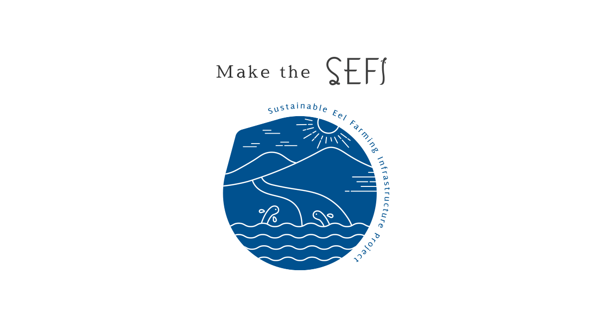 Make the SEFI