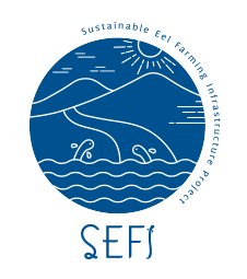 SEFI